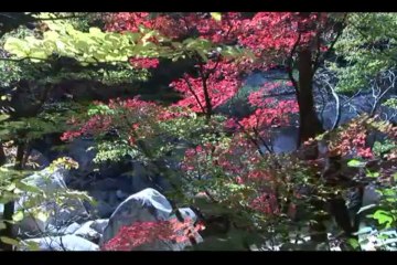 보고싶은 산하, 금강산의 4계