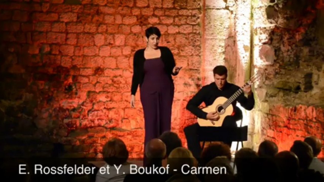 Festival des Voûtes célestes 2013