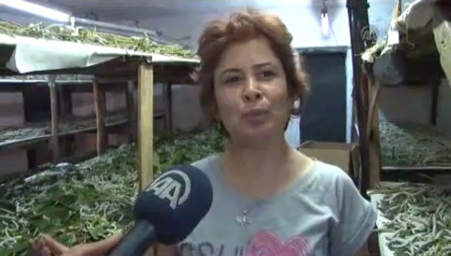 İpekböceklerine evlerini açtılar, çocukları gibi büyüttüler