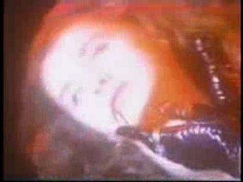 Malice Mizer - Illuminati