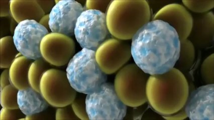 Discover How CoolSculpting Eliminates Fat Effectively ❄️