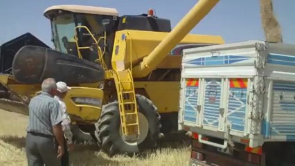 2012-YILI HASAT DÖNEMİ