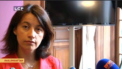 Immobilier : Cécile Duflot veut lutter contre les abus