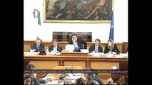 Roma - L'audizione del Ministro dello Sviluppo economico, Flavio Zanonato (11.06.13)
