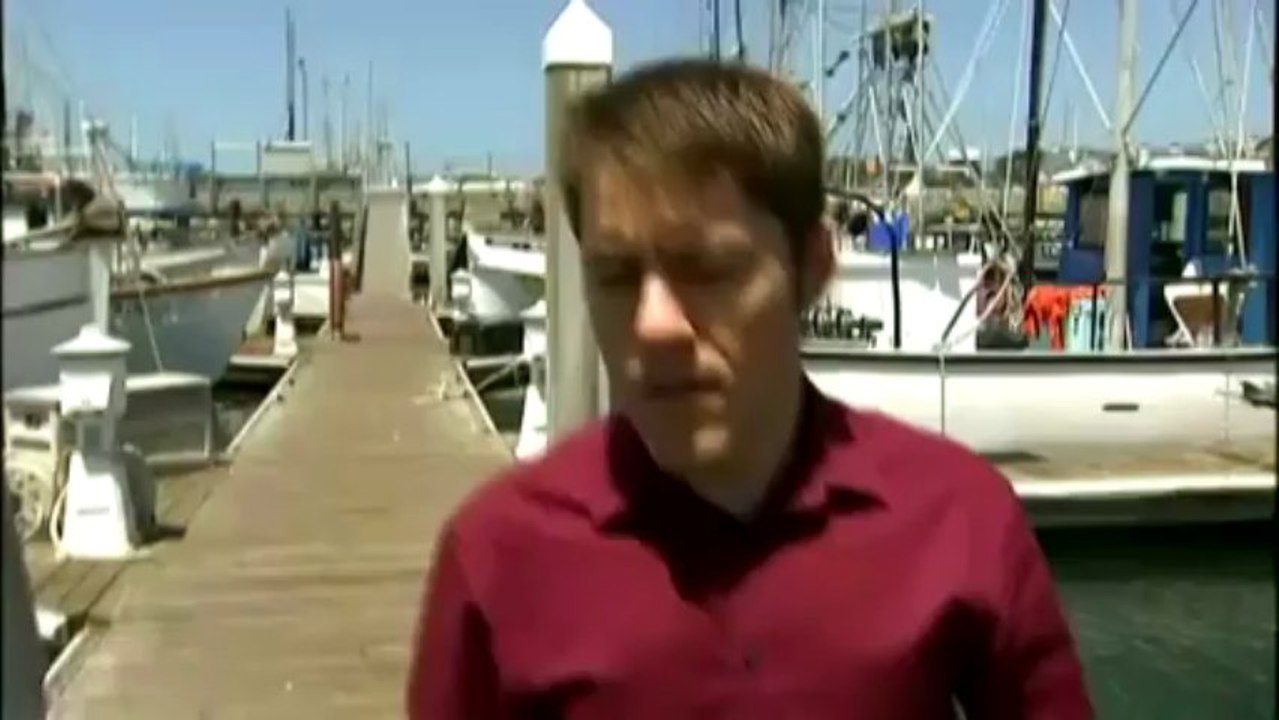 Une île flottante au large des côtes de la Silicon Valley