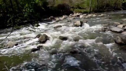 Don Valley Parkway in Toronto. A beautiful rapid...