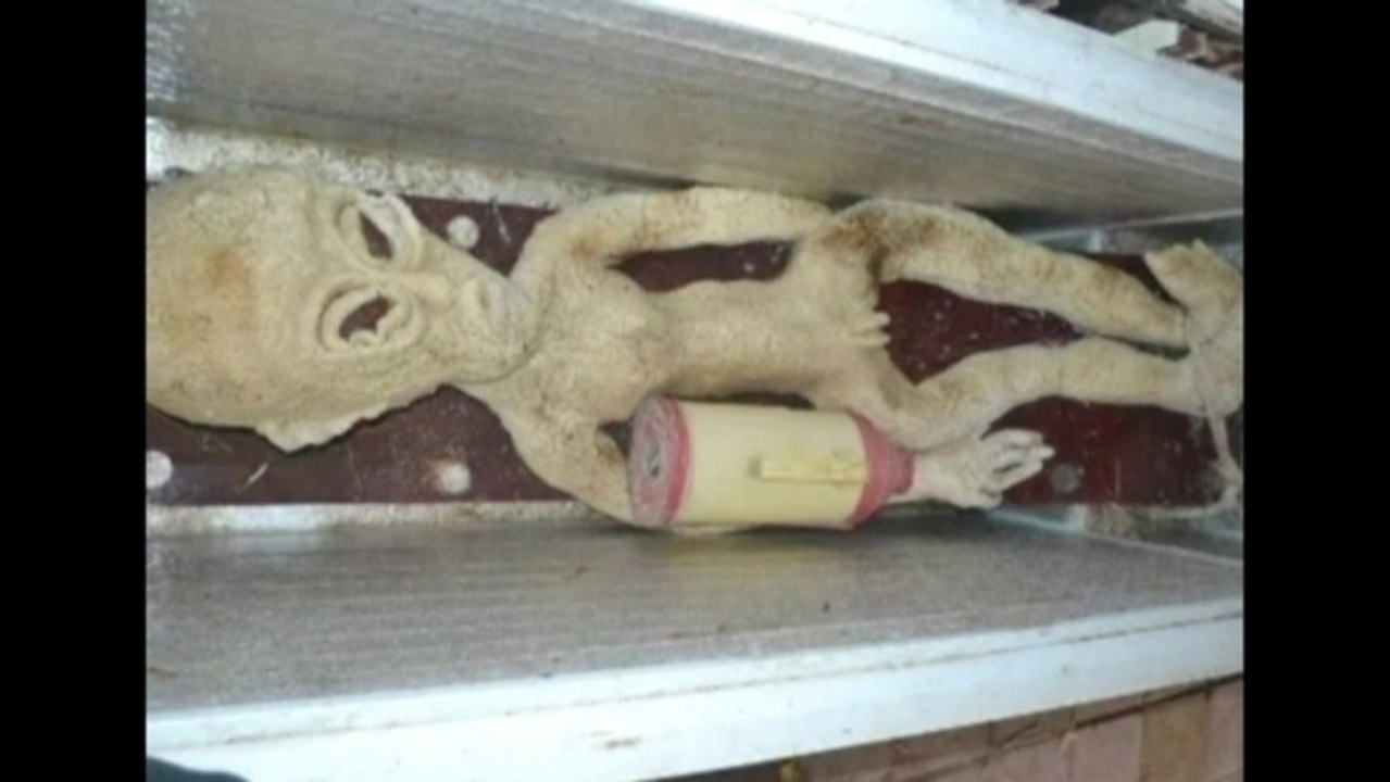 Chinese farmer arrested over alien hoax