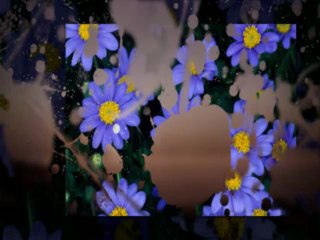 Dragoljub Lazarevic i NO Carevac - Beograde, grade!