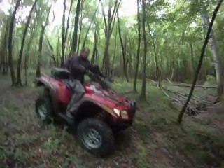 fab olive cedric yannick