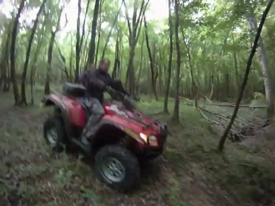 fab olive cedric yannick