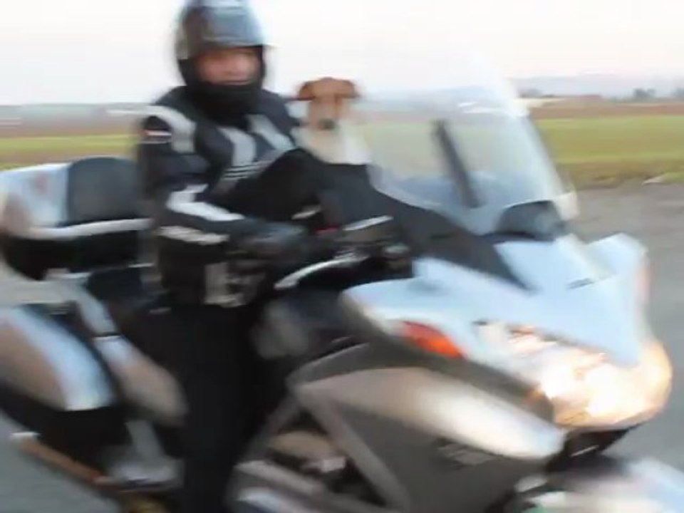 pan