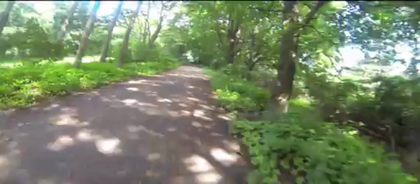 mit dem Fahrad durch die Rehberge