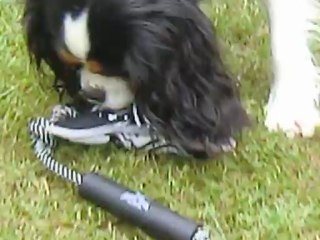 Jeux au jardin avec les nouveaux jouets zolux