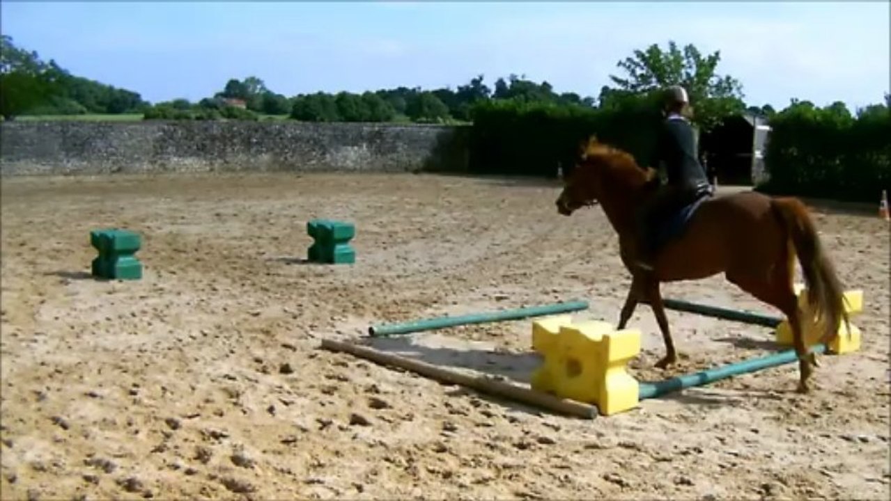 2 barres 3 mètres