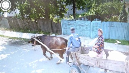 chemin faisant (Valea Seaca)