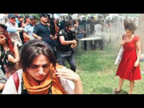 taksim gezi parkı direnişi