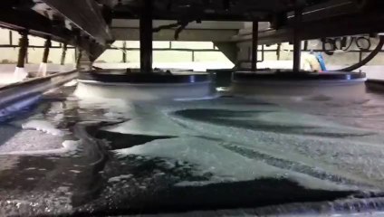 Lavage tapis Tapisclean(strasbourg)hali yikama)www.tapis-clean.fr 0388397951