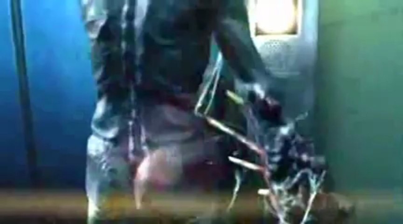 Resident Evil Revelations [Crack] Download