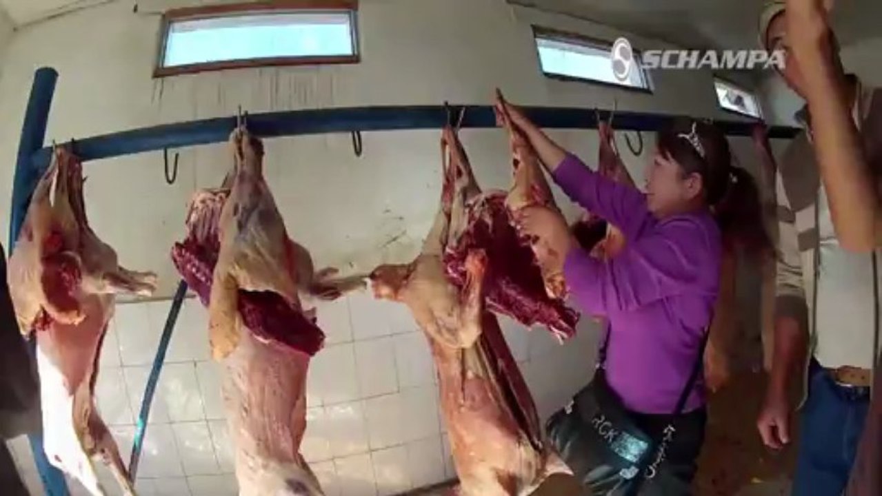 Mongolia Bike Adventure Episode #7 - Never Stop Riding