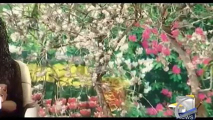 Hum Sab Umeed Say Hain-12 Jun 2013-Part 2