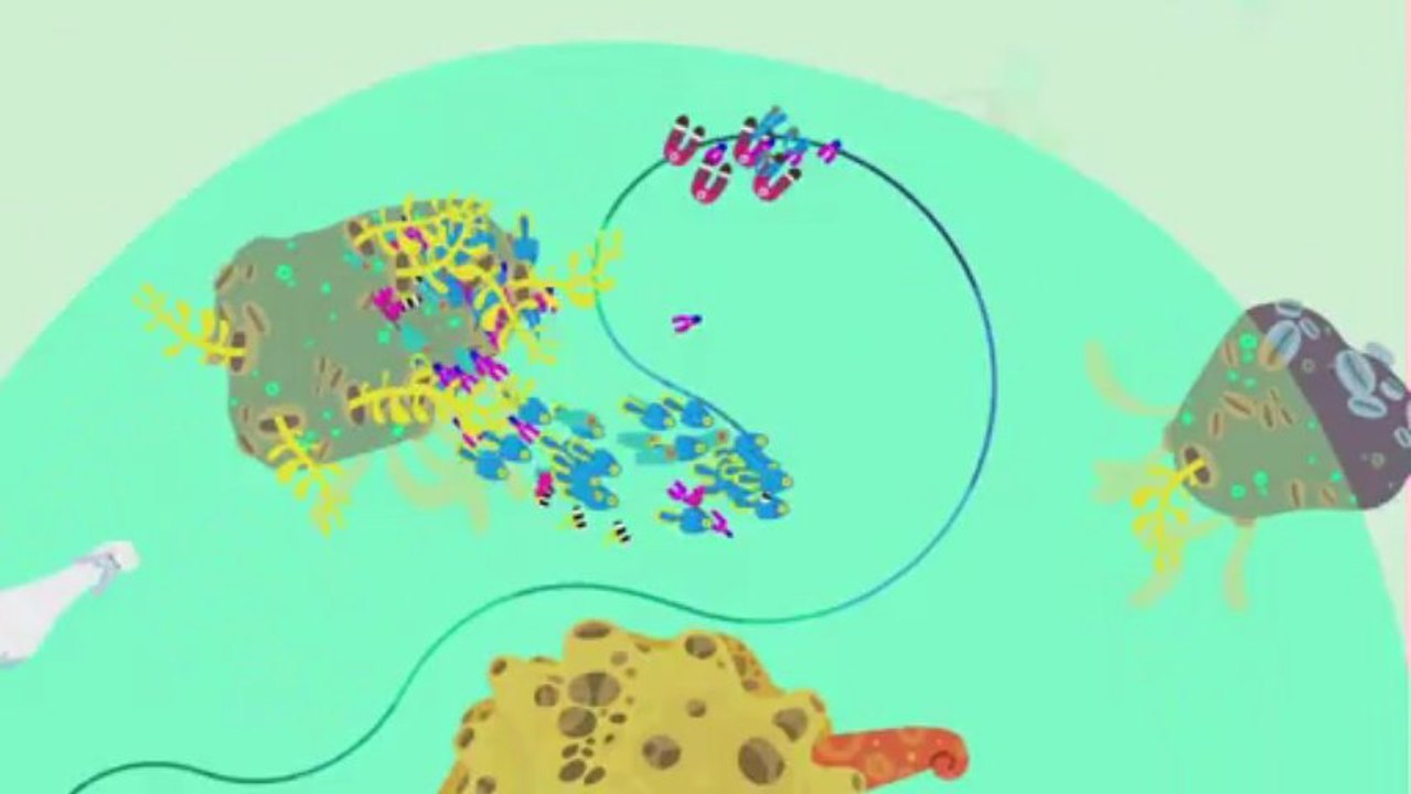 Hohokum E3 Trailer (PS4)   E3 2013