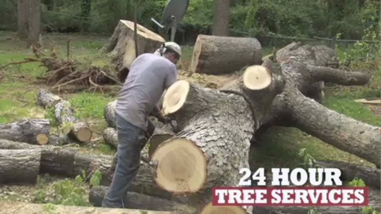 Tree Trimming Marietta | Omar & Brothers Tree Service Call (678) 973-4049