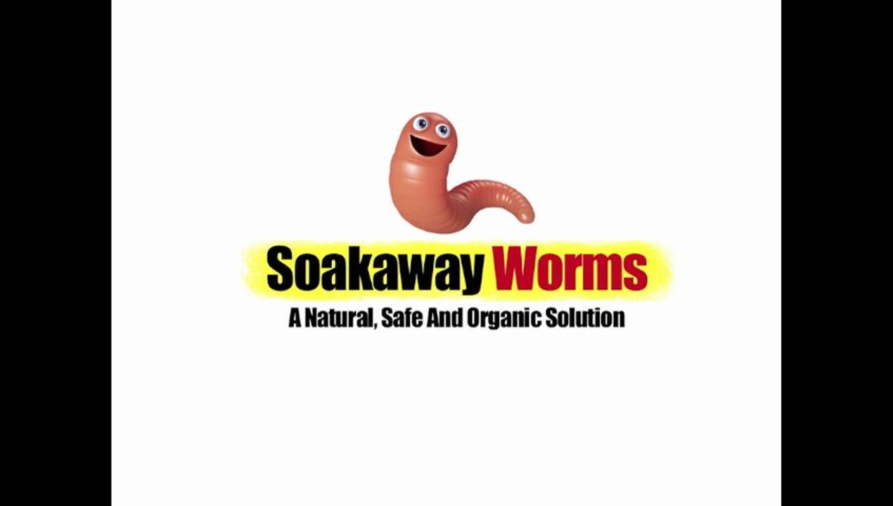 Soakaway Worms
