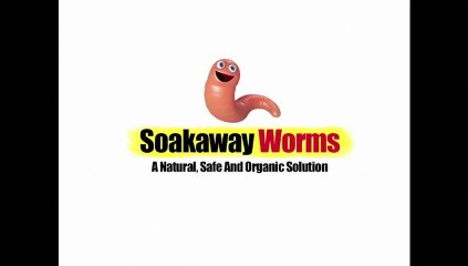 Septic Tank Soakaway Blocked