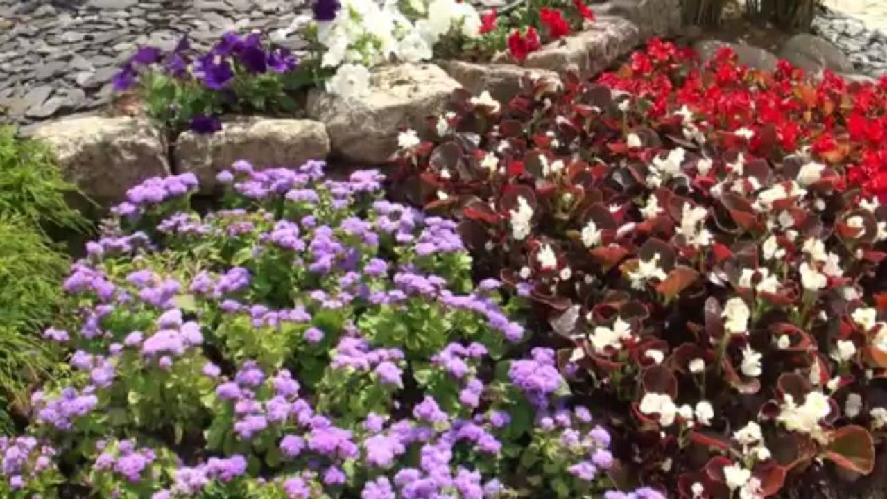 Fleurissement 2013 à Bras-sur-Meuse