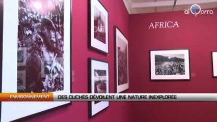 Des clichés dévoilent une nature inexplorée