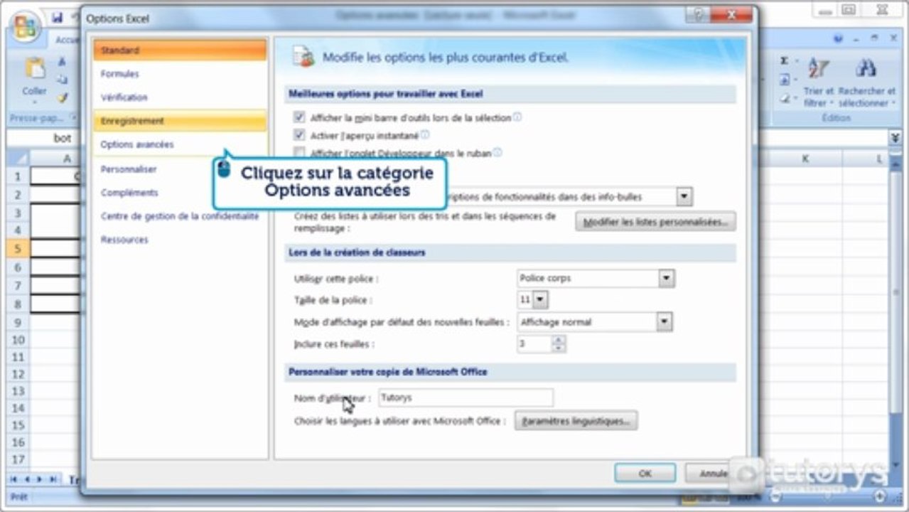 Comment modifier les options avancées d’Excel 2007 ?