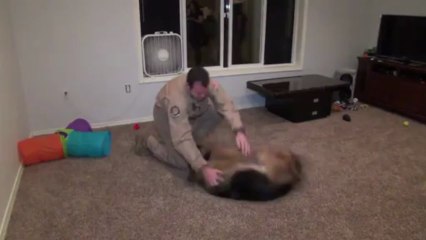Dog Welcomes Home Staff Sergeant