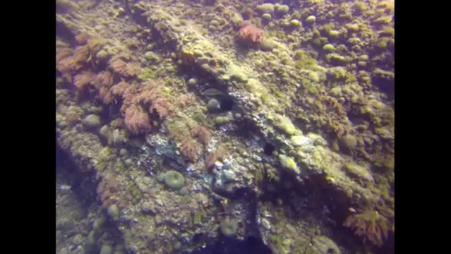 Le grand Moure Exploration