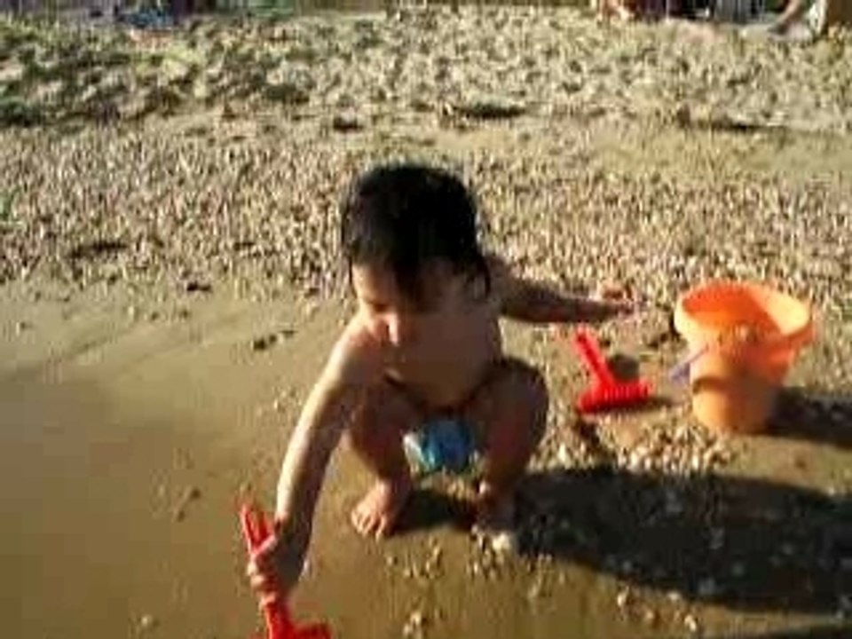 Lavandou 271006