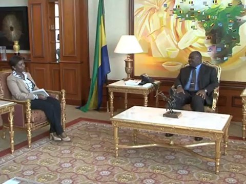 Audience accordée par le Président Ali Bongo Ondimba à l'ONG Transparency International