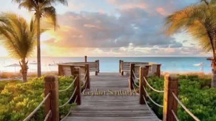 KÜSTÜM - MÜNEVVER ÖZDEMİR