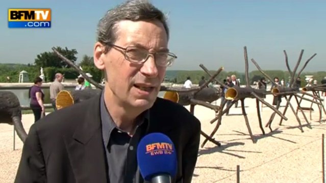 Giuseppe Penone s'installe au château de Versailles - 13/06