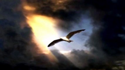 Mensagem de SALOMÃO Em 06 de Junho de 2013