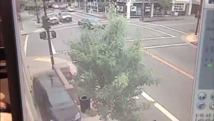 A dog saves two people from death.