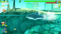 hungry shark evolution cheats ios - New version 2013 June !