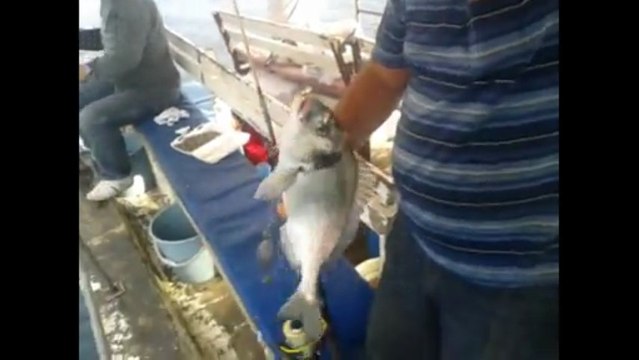 ismail kaptan balık avı 12.06.2013 tel.05334559097