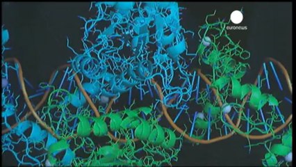 Corte suprema degli Usa: "Non è brevettabile il Dna umano"
