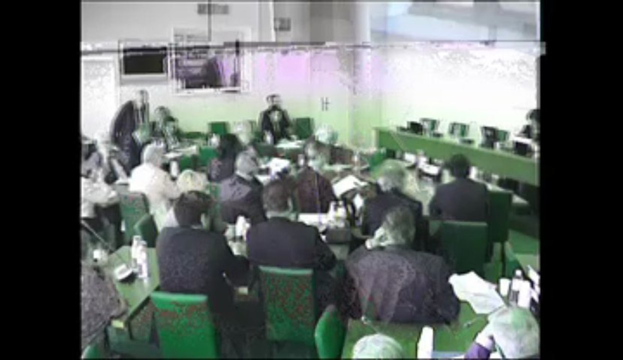 Commission des affaires étrangères / Mercredi 5 juin 2013