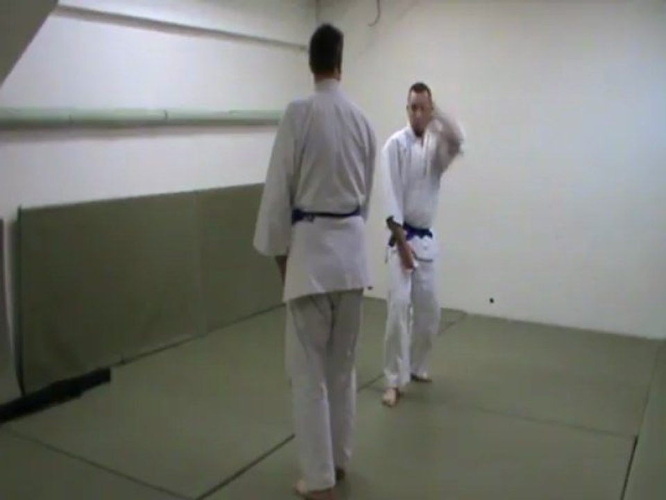 Yokomen uchi : shiho nage omote kihon