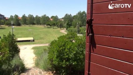 Icaro tv. Da domani a casa Panzini la mostra dedicata allo stile delle donne