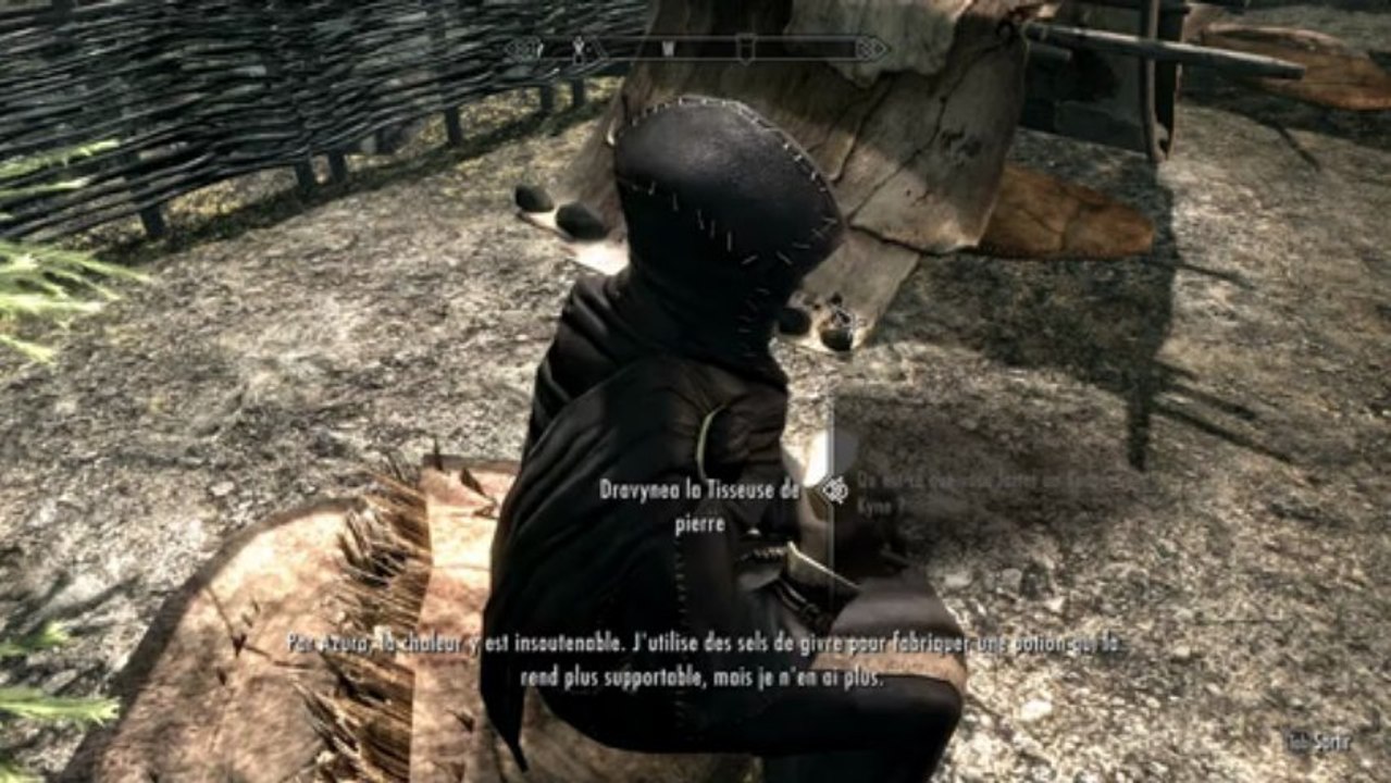Skyrim 16