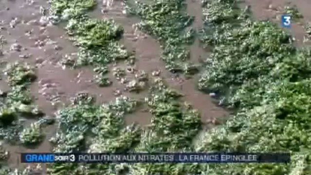 Pollution aux nitrates : la France épinglée