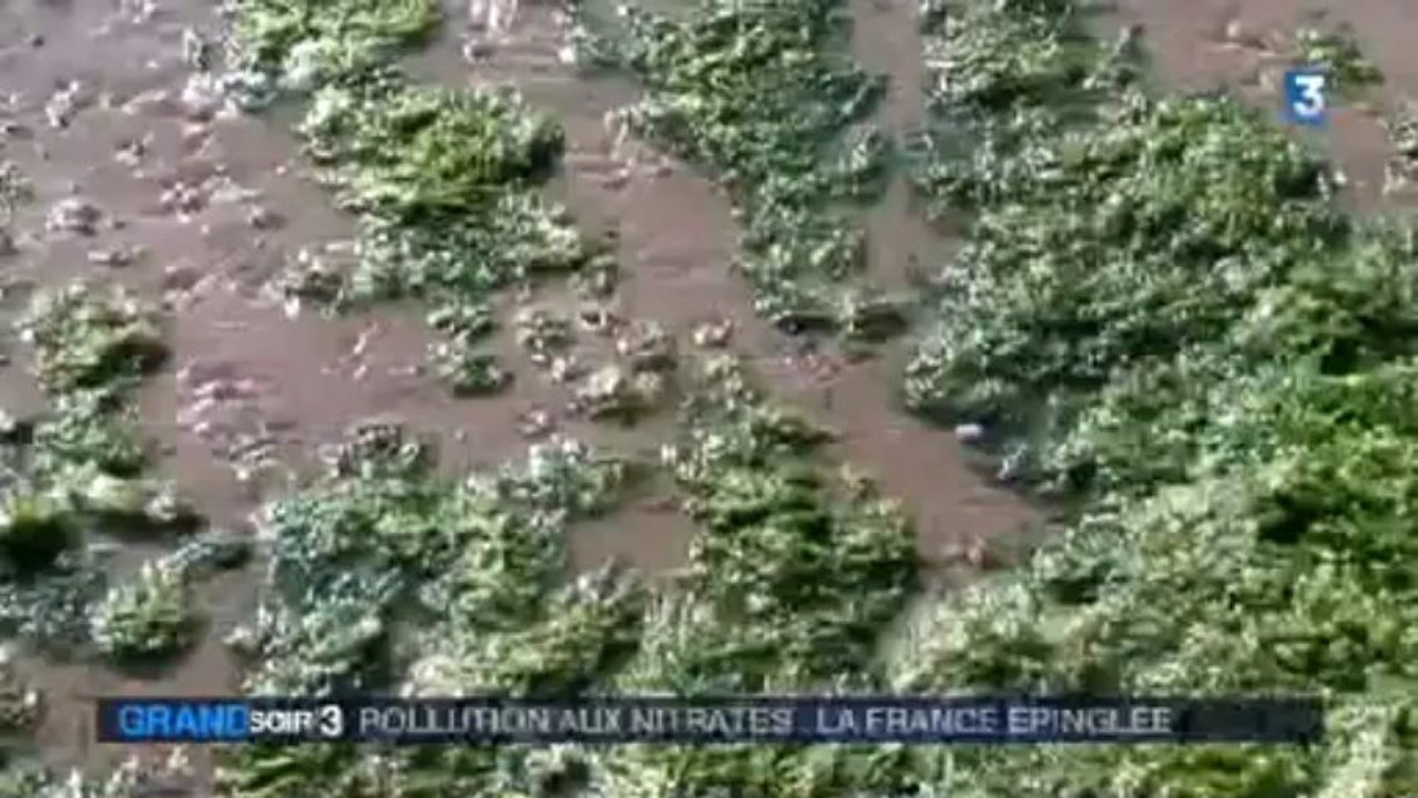 Pollution aux nitrates : la France épinglée
