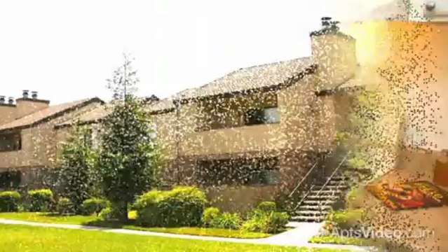 Renaissance Apartments in Fresno, CA - ForRent.com