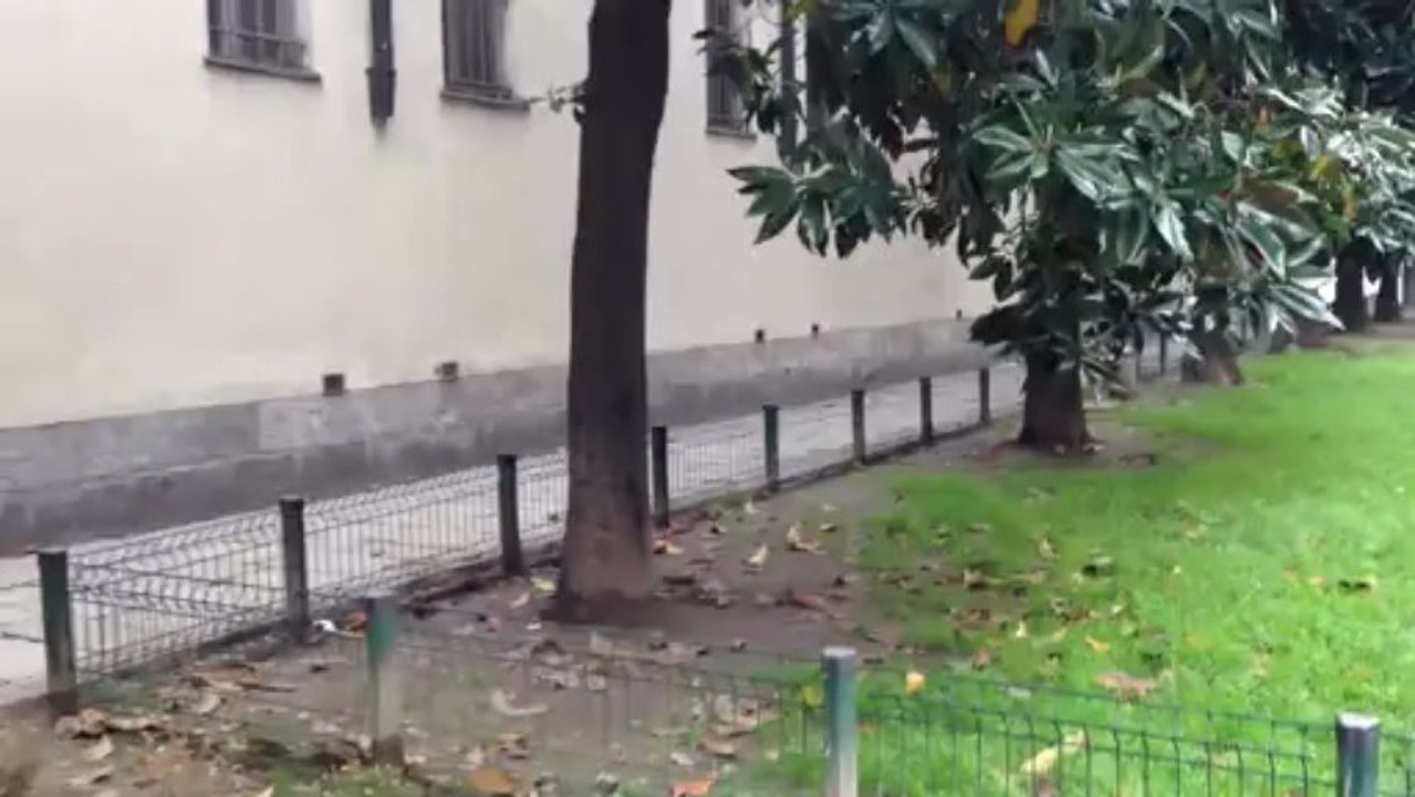 Videotest 1080p Apple iPhone 5 (per confronto di giorno con Nokia Lumia 820)